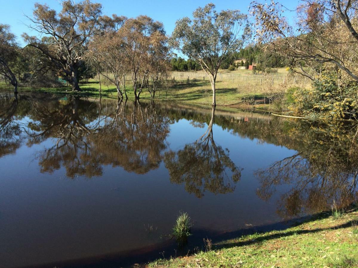 Wildwood Guesthouse Mudgee Bagian luar foto