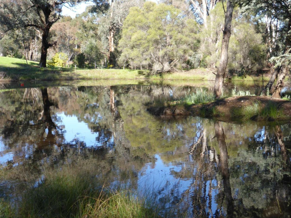 Wildwood Guesthouse Mudgee Bagian luar foto