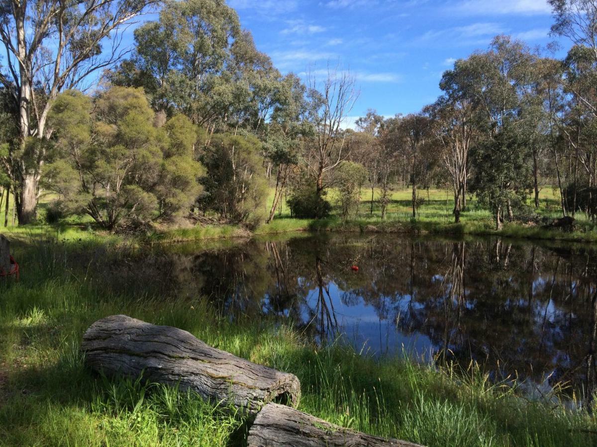 Wildwood Guesthouse Mudgee Bagian luar foto